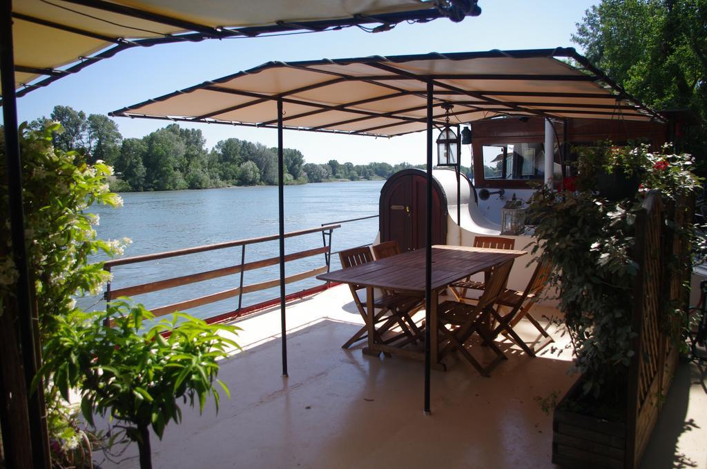Peniche Le Hasard Acomodação com café da manhã Villeneuve-lès-Avignon Exterior foto