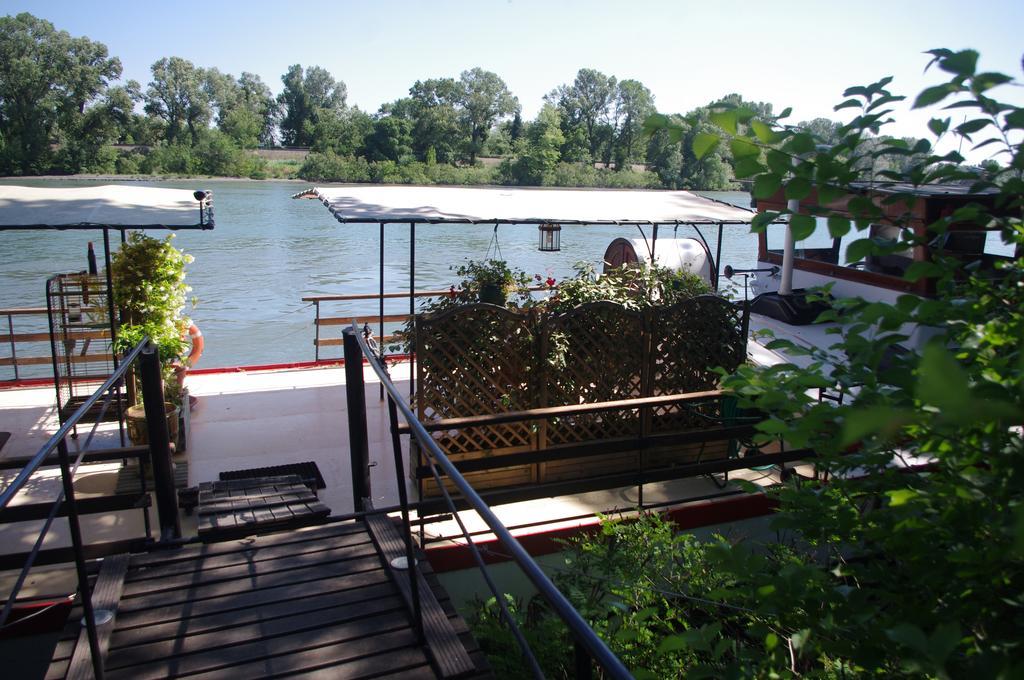 Peniche Le Hasard Acomodação com café da manhã Villeneuve-lès-Avignon Exterior foto